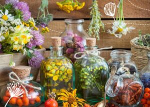 Zielona moc natury: odkryj tajemnice nalewków z ziół