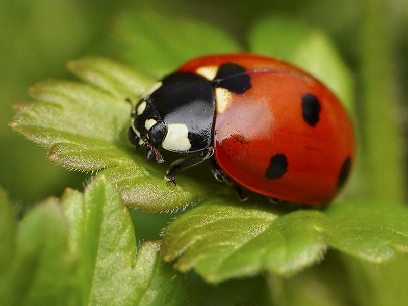 Biedronka 12 12: Odkryj najlepsze piwa w promocji i poznaj topowe marki!