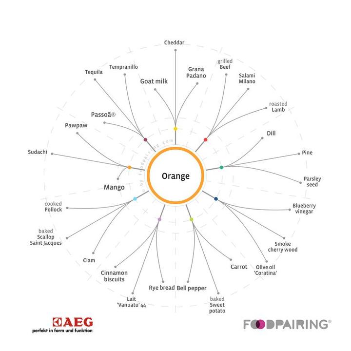 Harmonijne łączenie trunków z daniami