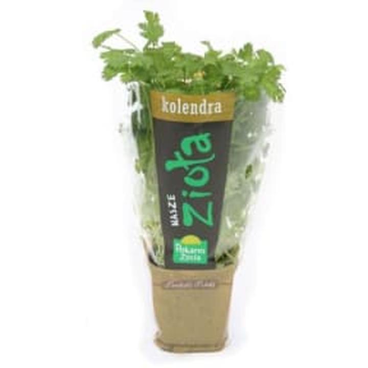 Kolendra w Warszawie