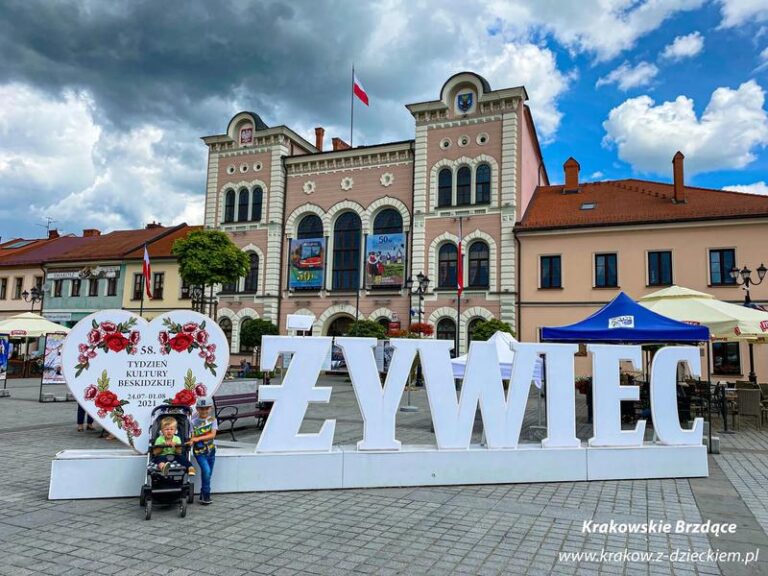 Ceny piwa Żywiec – ile zapłacisz za różne opakowania?