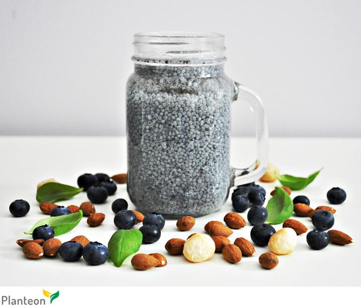 Najlepszy czas na plony