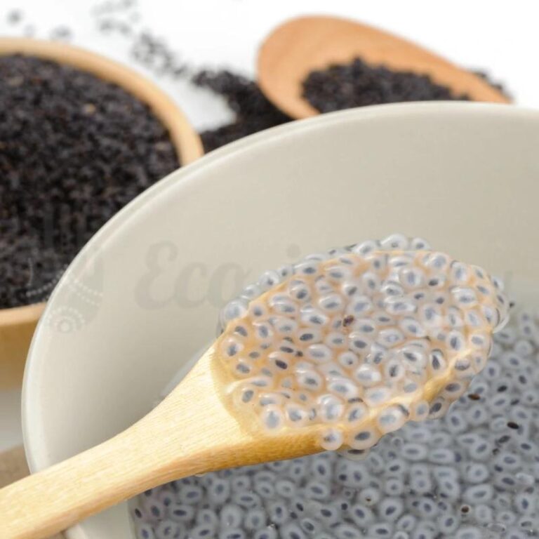 Najlepszy czas na udane plony bazylii – kiedy siać, by cieszyć się smakiem lata?