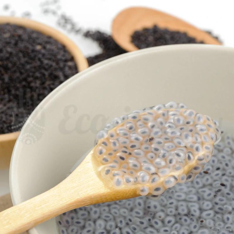 Najlepszy czas na udane plony bazylii – kiedy siać, by cieszyć się smakiem lata?