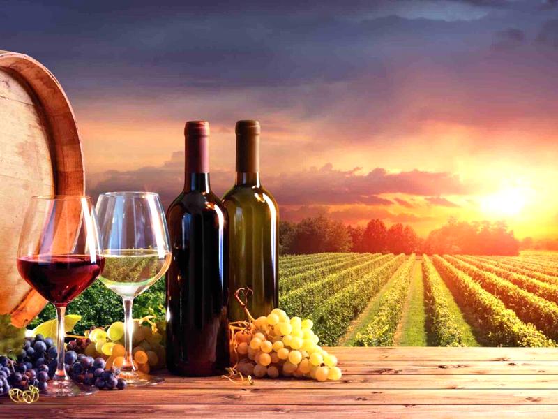 Inwestycja w wino