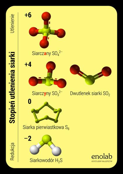 Ograniczanie siarczynów w diecie