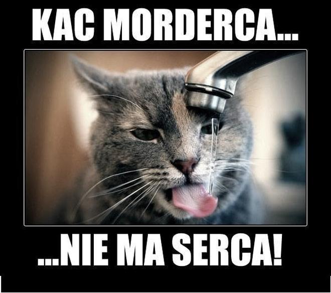 Witaminy i suplementy
