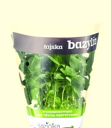 Zakupy online z bazylią tajską