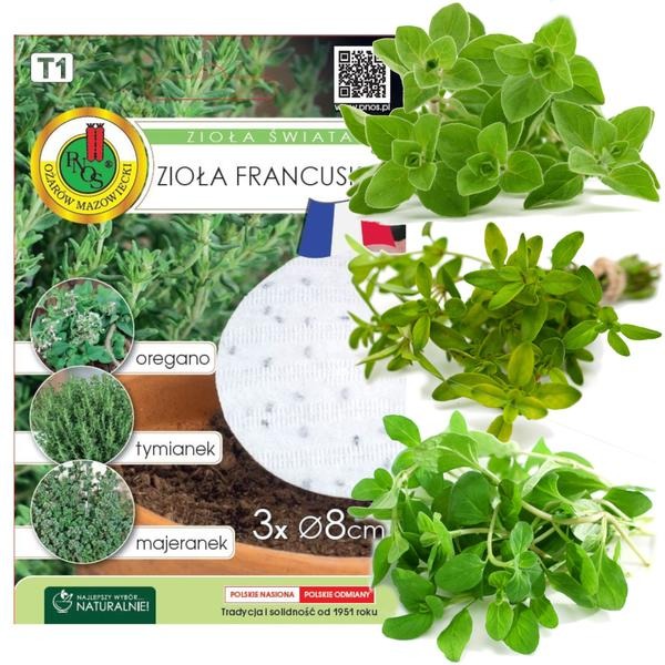 Oregano a majeranek – jak je odróżnić i do czego stosować?