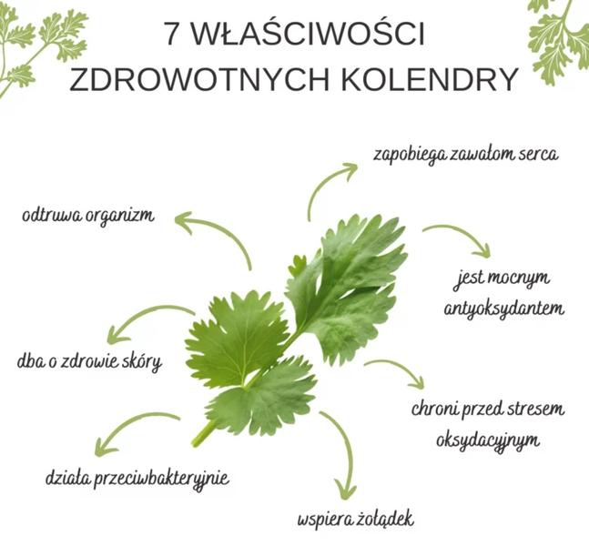 Właściwości zdrowotne kolendry